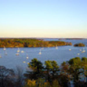 Meet your Posher, Alice